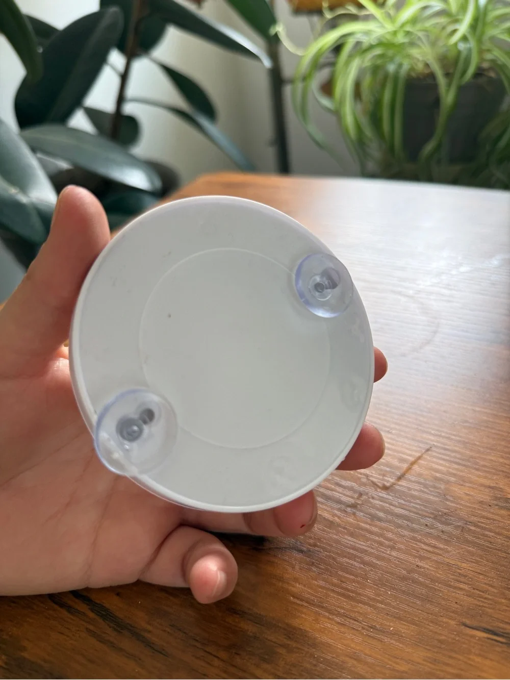 Round Cream small Wall Mirror – Unbranded